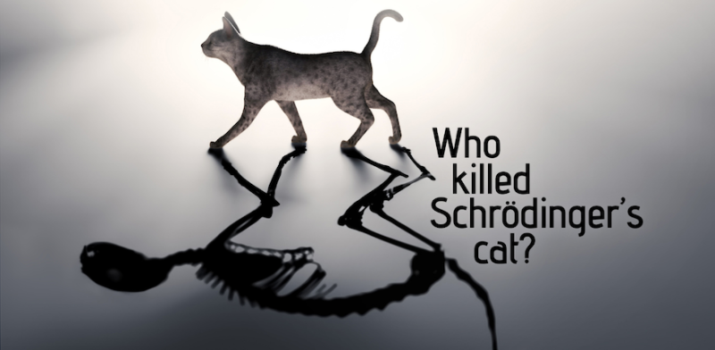 Plus postcard featuring image of a cat with a skeleton shadow and text 'Who killed Schrodinger's cat?'