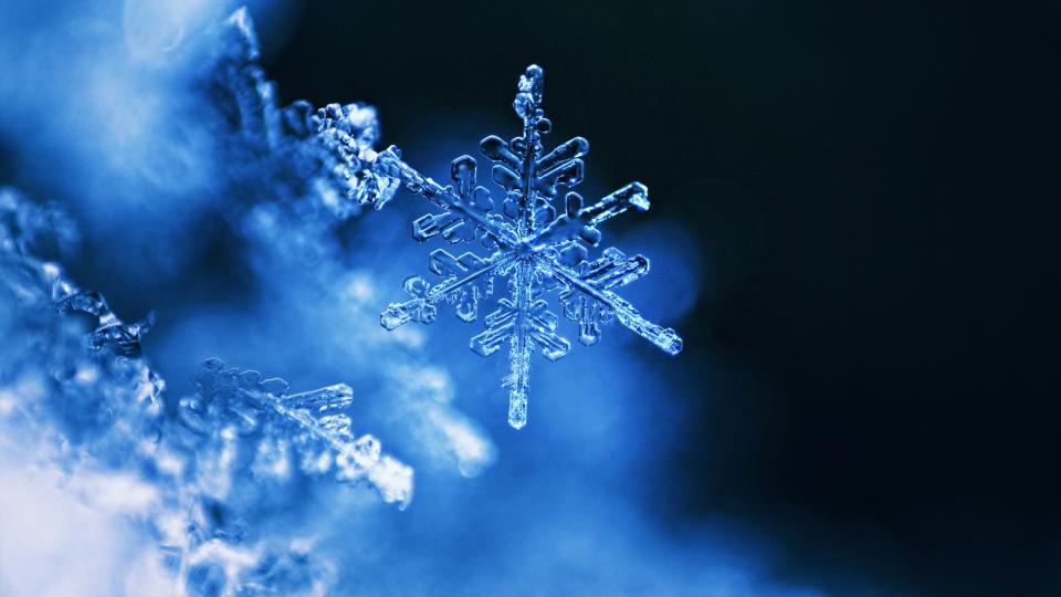 iStock-498151566