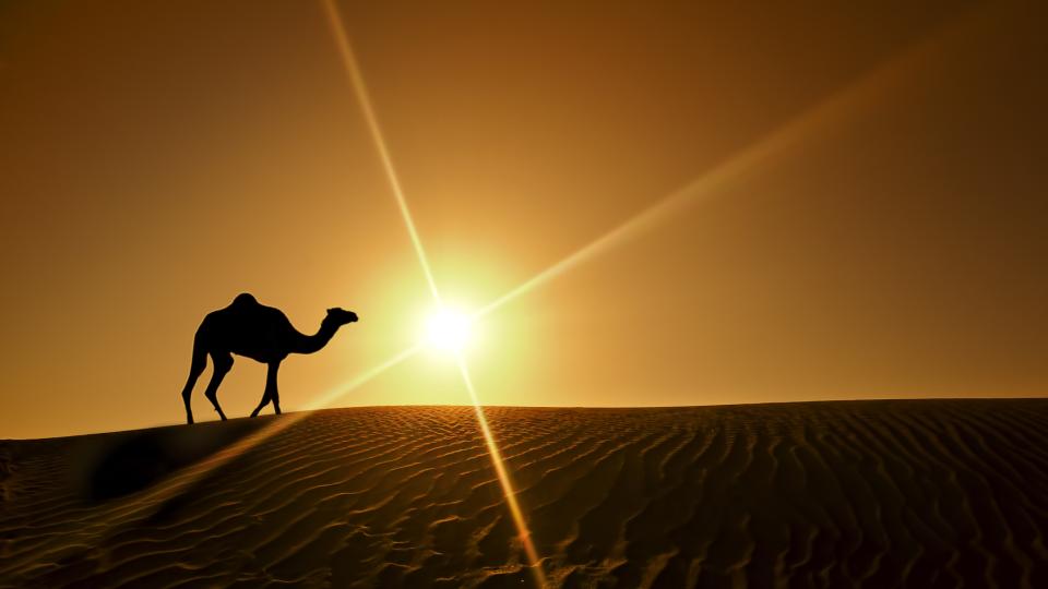 iStock_43049960_MEDIUM