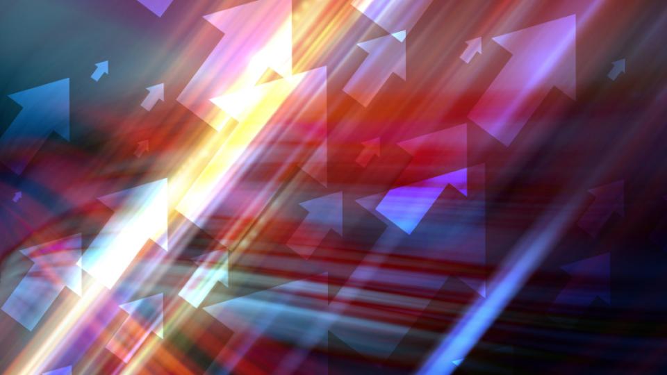 vectors